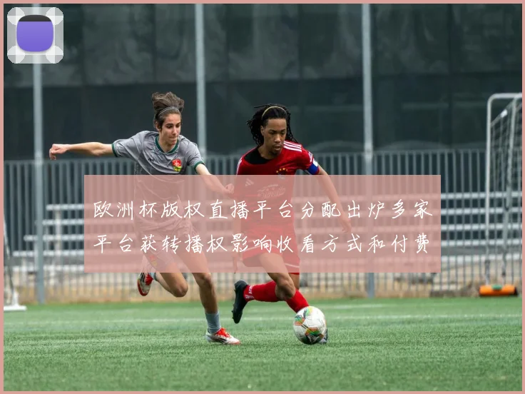 欧洲杯版权直播平台分配出炉多家平台获转播权影响收看方式和付费策略