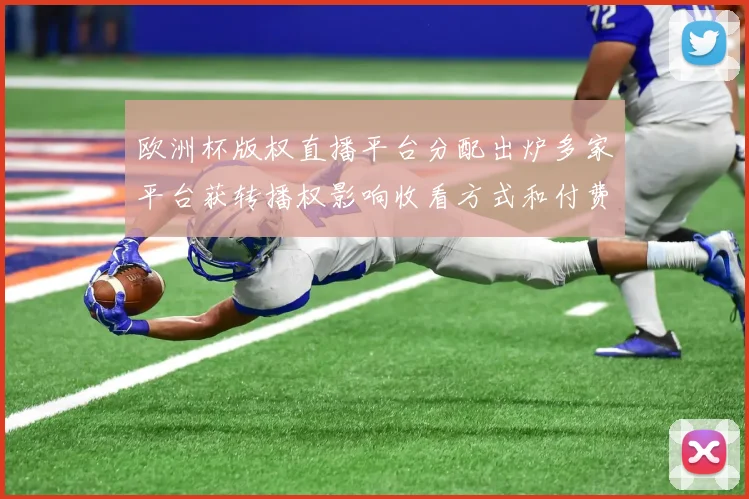 欧洲杯版权直播平台分配出炉多家平台获转播权影响收看方式和付费策略