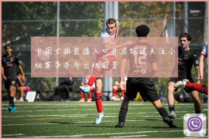 中国女排直播入口开启球迷关注小组赛争夺与出线前景